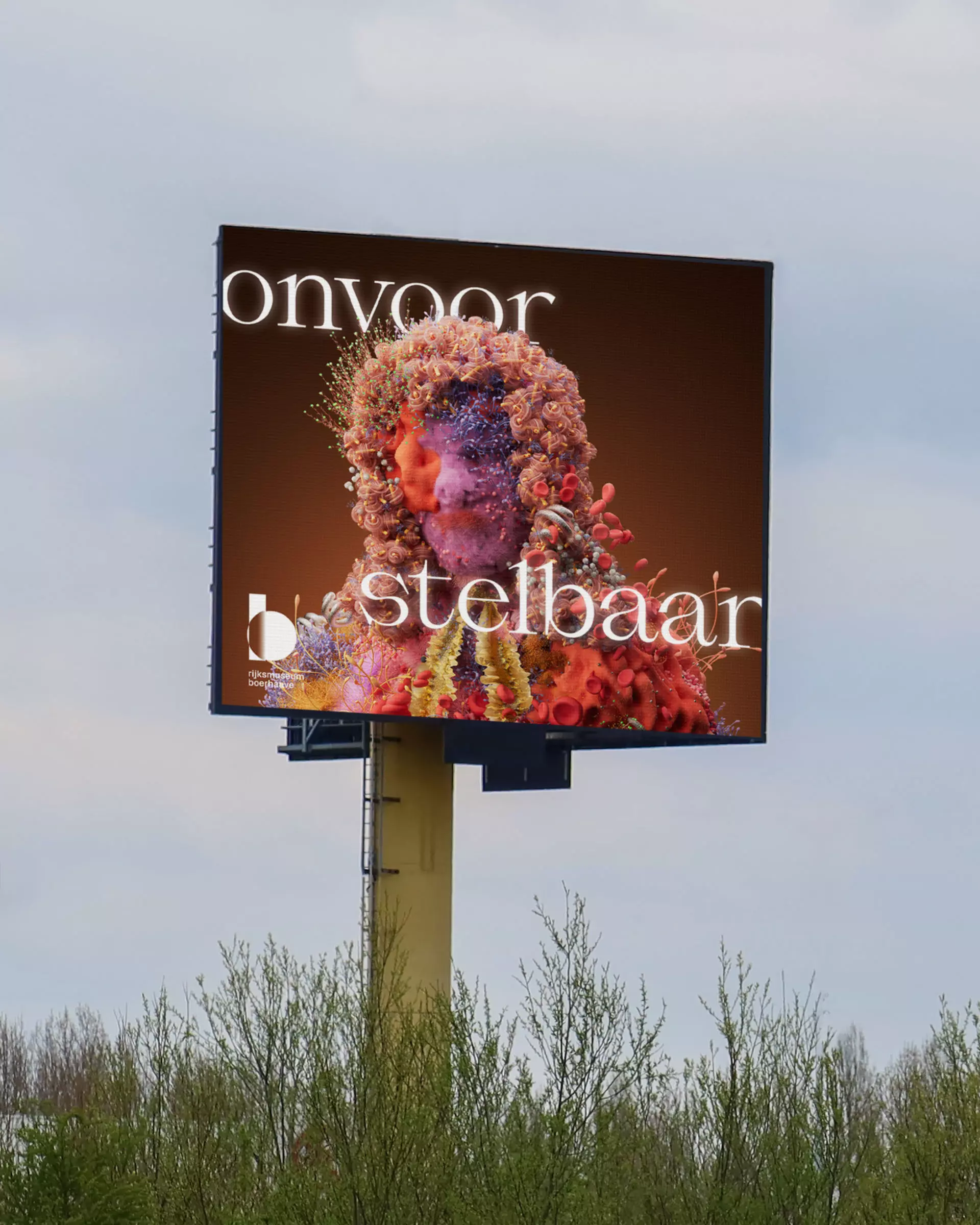 03a Boerhaave Onvoorstelbaar