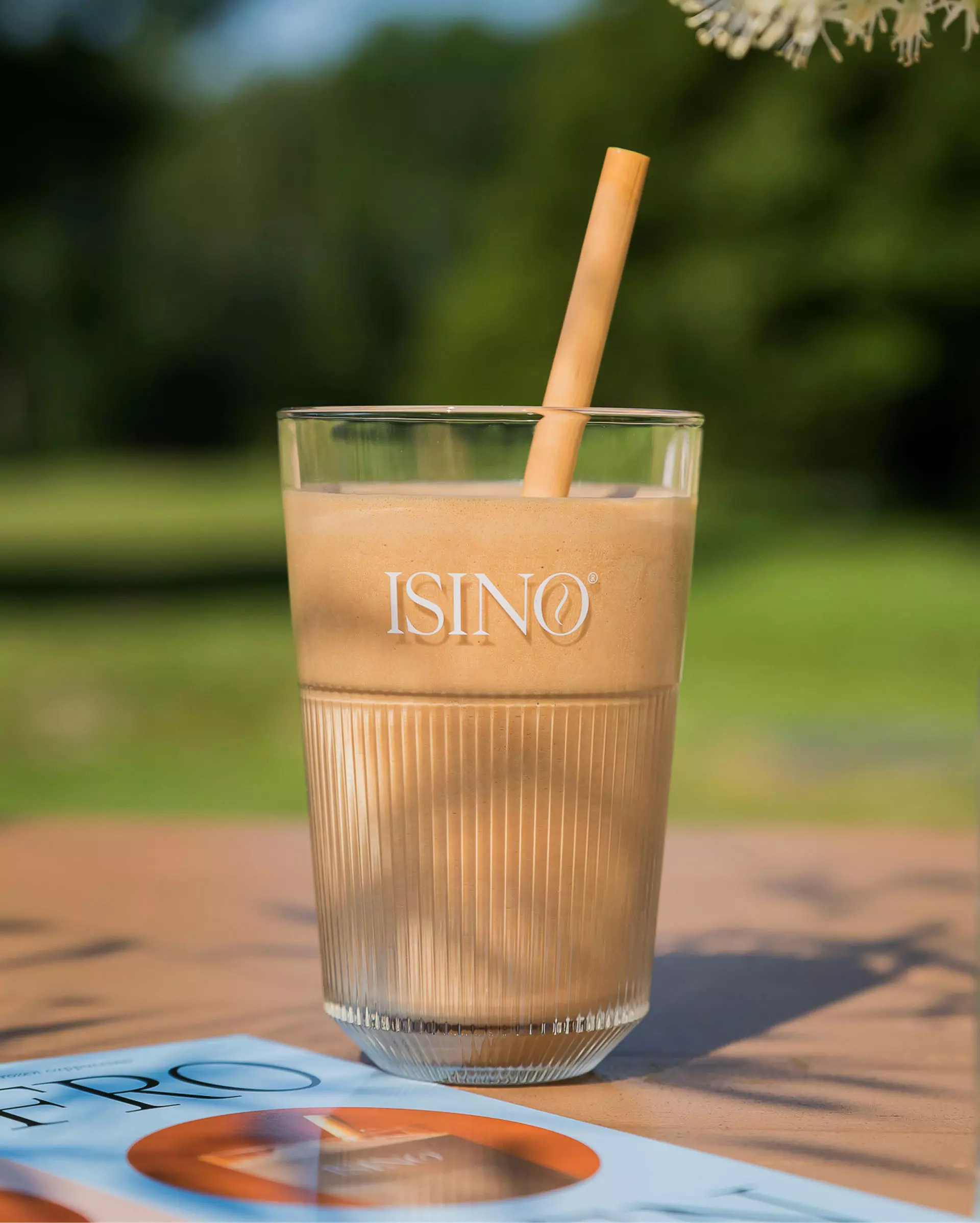 OFFFF Isino Terras