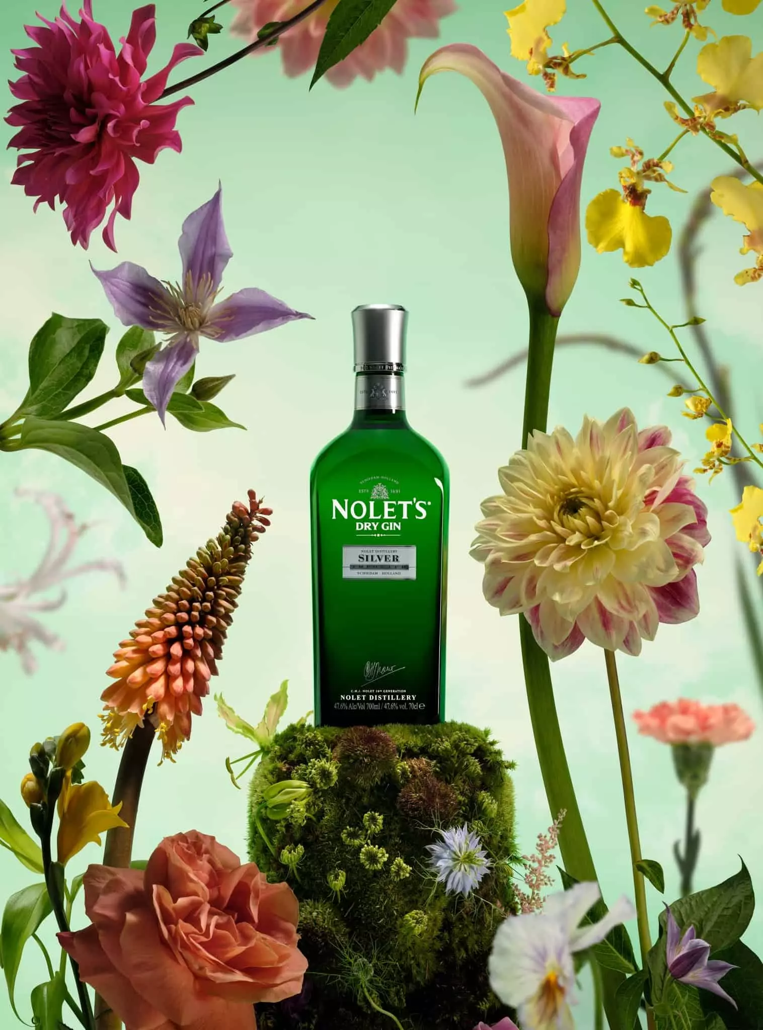 Nolet’s Gin featured image